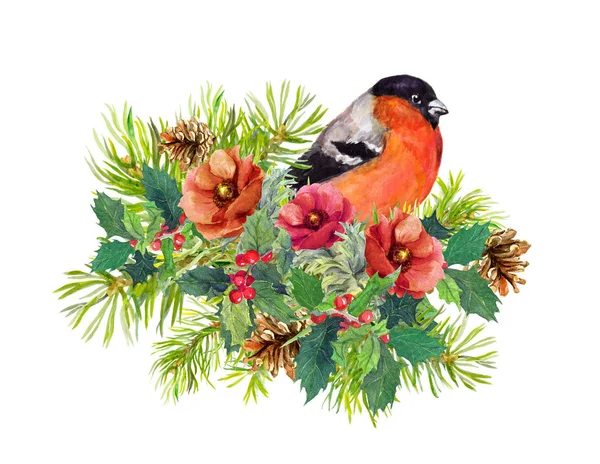 Christmas composition - finch bird, winter flowers, spruce tree,  mistletoe. Watercolor — Stock Photo, Image
