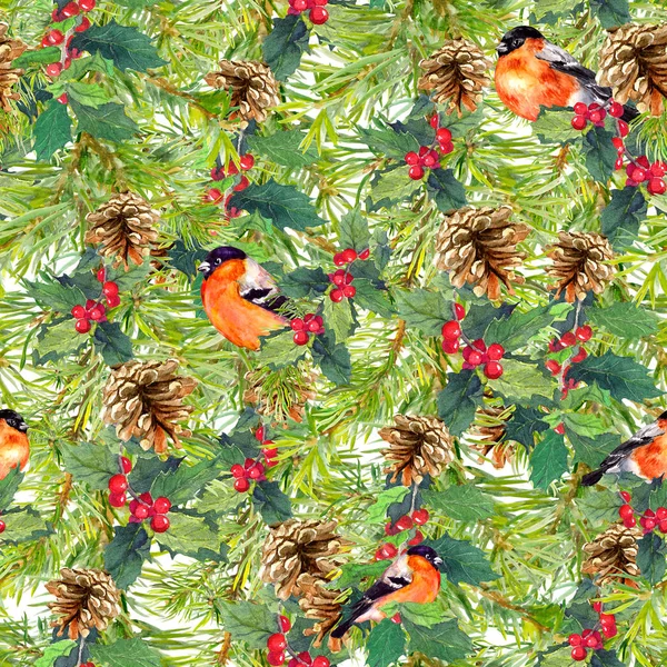云杉树枝，鸟儿，视锥细胞，槲寄生。圣诞无缝背景。水彩 — 图库照片