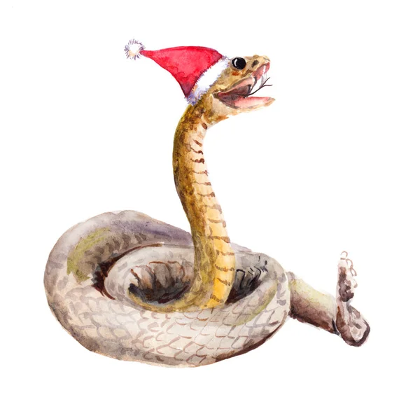 Christmas snake in red santas hat. Watercolor animal — Stock Photo, Image