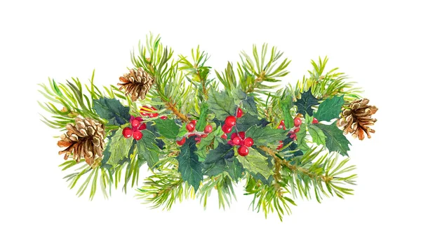 冬の花、モミの木、クリスマスのヤドリギ。水彩 — ストック写真