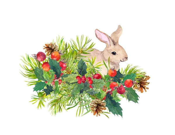 Winterkonijn, bloemen, dennenboom, maretak. Kerst aquarel voor wenskaart met schattig dier — Stockfoto