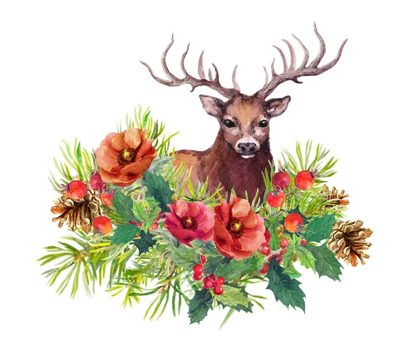 Cerf, fleurs d'hiver, sapin, gui. Aquarelle pour carte de Noël — Photo