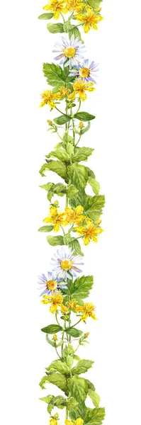 Virágok, levelek, gyógynövények. Varrat nélküli határ. Akvarell képkeret — Stock Fotó