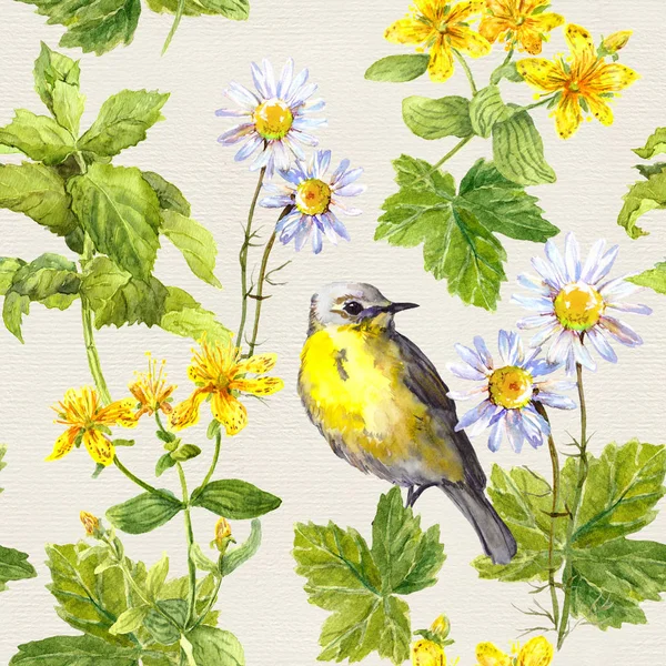 Kerti növények, virágok, fű, madár. Ismétlődő virágmintás. Akvarell — Stock Fotó