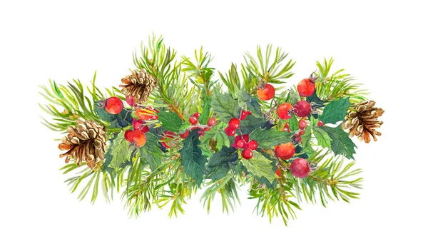 Vinter blommor, fir tree, jul mistel. Akvarell — Stockfoto