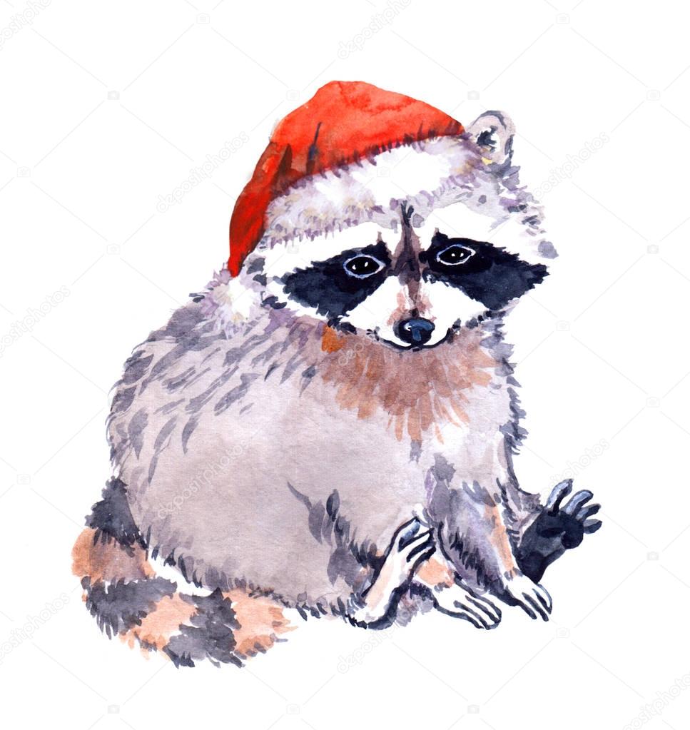 Cute raccoon animal in red santas hat. Christmas Watercolor