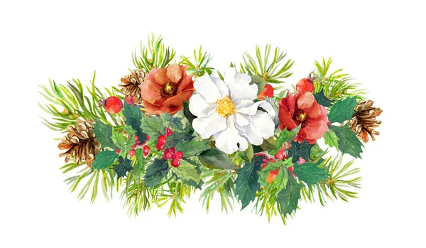 Winter flowers, fir tree, christmas mistletoe. Watercolor — Stock Photo, Image
