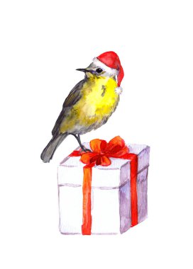 Şirin kuş - kırmızı Noel Baba şapkası. Noel hediyesi kutu. Suluboya