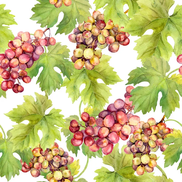 Бесшовный узор - виноград, виноградная лоза, листья на белом фоне. Акварель — стоковое фото