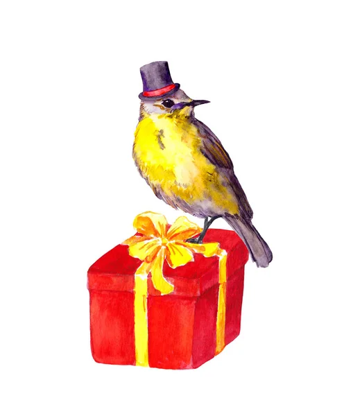 Vogel mit Zylinder auf rotem Geschenkkarton. Aquarell — Stockfoto