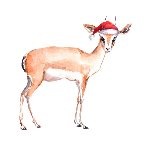 Милий антилоп у червоному капелюсі санти. Акварель Різдвяна тварина — стокове фото