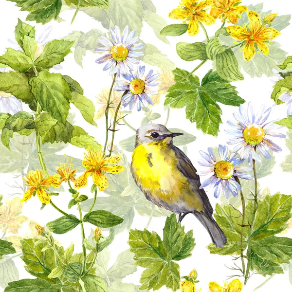 Tuinkruiden, bloemen, gras, vogel. Herhalende bloemmotief. Aquarel — Stockfoto