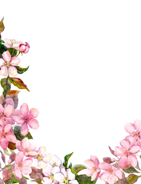 Blommig retro bakgrunden med blossom. Vit, rosa apple blommor. Vintage akvarell — Stockfoto