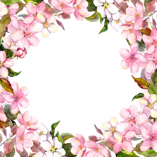 Fiori rosa - mela, fiore ciliegio. Cornice floreale. Acquerello — Foto Stock