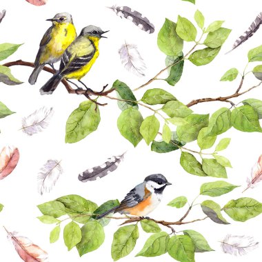 Şube kuşlarda. Dikişsiz yinelenen desen. Suluboya