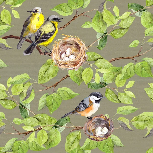 Pájaros, anidan en la rama. Patrón de repetición sin fisuras. Acuarela —  Fotos de Stock