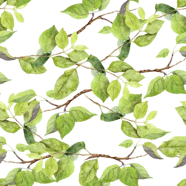 Green leaves. Seamless pattern. Watercolor — Stock Photo, Image