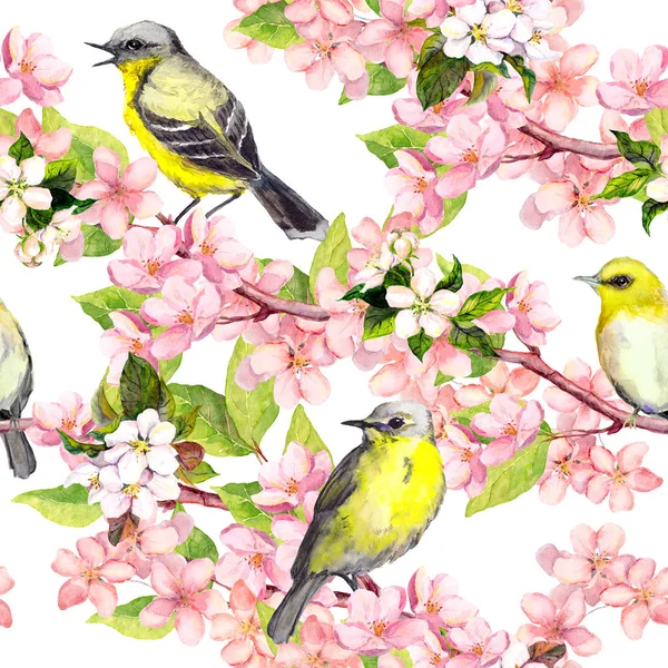 Flor de cerezo - manzana, flores de sakura, pájaros. Patrón sin costura floral. Acuarela — Foto de Stock
