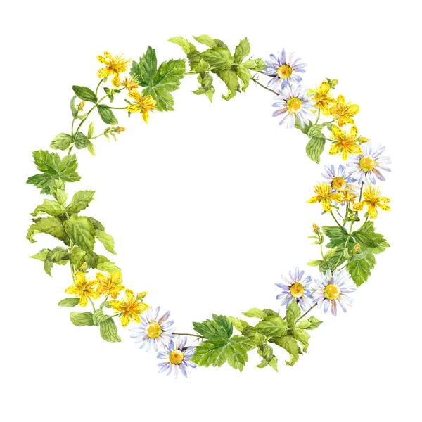 Floral wreath. Herbs, meadow flowers. Watercolor round border — Stock Photo, Image