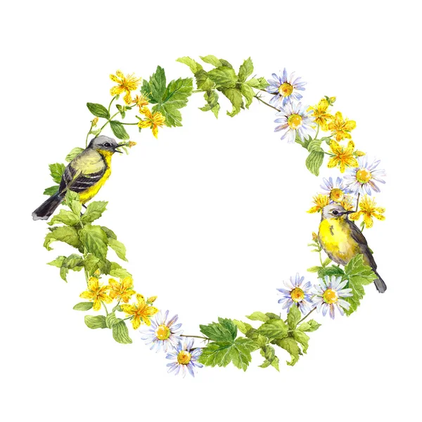 Spring birds, flowers, herbs. Floral vintage wreath. Retro watercolor — Stock Photo, Image