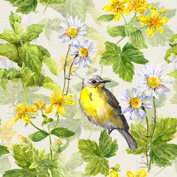 Vögel, Kräuter, Wiesenblumen, Frühlingsgräser. sich wiederholendes Muster. Aquarell — Stockfoto