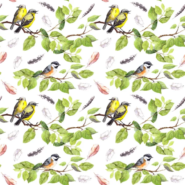 Birds on branch, feathers. Seamless repeating pattern. Watercolor — Stock Photo, Image