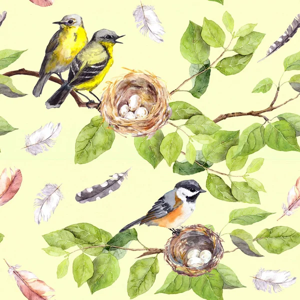 Птицы и гнездо на ветке. Бесшовный повторяющийся винтажный рисунок. Ретро акварель — стоковое фото