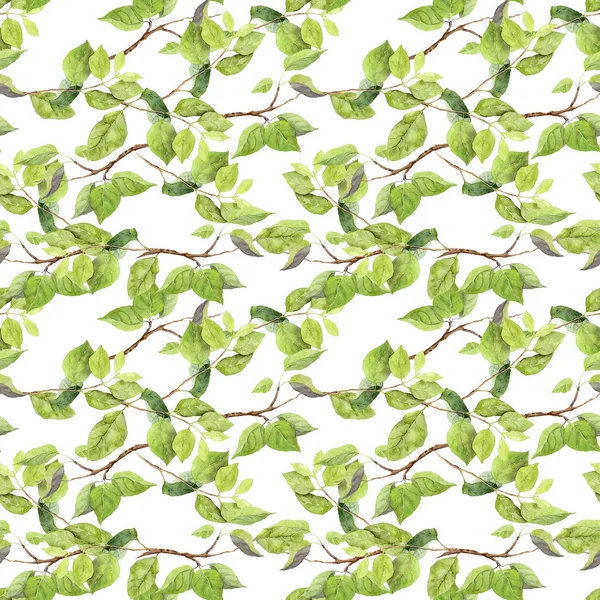 Green leaves pattern. Watercolour — Stock Photo, Image