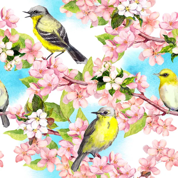 Flores de primavera florecen, pájaros con cielo azul. Patrón sin costura floral. Acuarela vintage —  Fotos de Stock