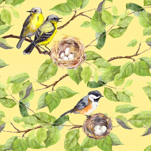 Vogels, nest op tak. Naadloze herhalend patroon. Aquarel — Stockfoto