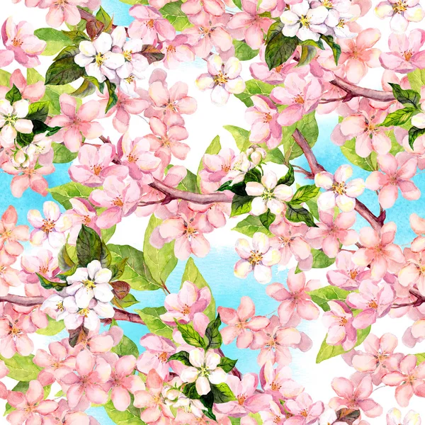 Flores de primavera florescem - sakura, cereja, maçã e céu azul. Padrão sem costura floral. Aquarela — Fotografia de Stock