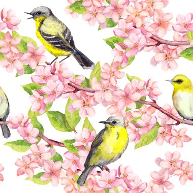 Bahar çiçeği, kiraz, elma, sakura çiçek dalları kuşlara. Çiçek seamless modeli. Suluboya