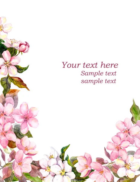 Cartão de saudação floral. Flores brancas e rosa de maçã. Aquarela — Fotografia de Stock
