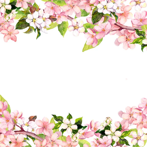 Цветущие розовые цветы сакуры. Цветочная карта или пустая. Акварель — стоковое фото