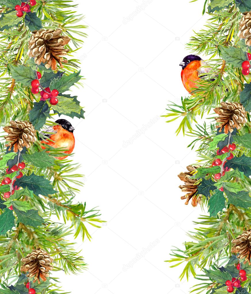 Fir tree, mistletoe, red finch bird. Christmas seamless border. Watercolor