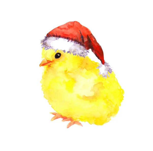 Noel bebek tavuk kırmızı santas şapka. Suluboya kuş — Stok fotoğraf