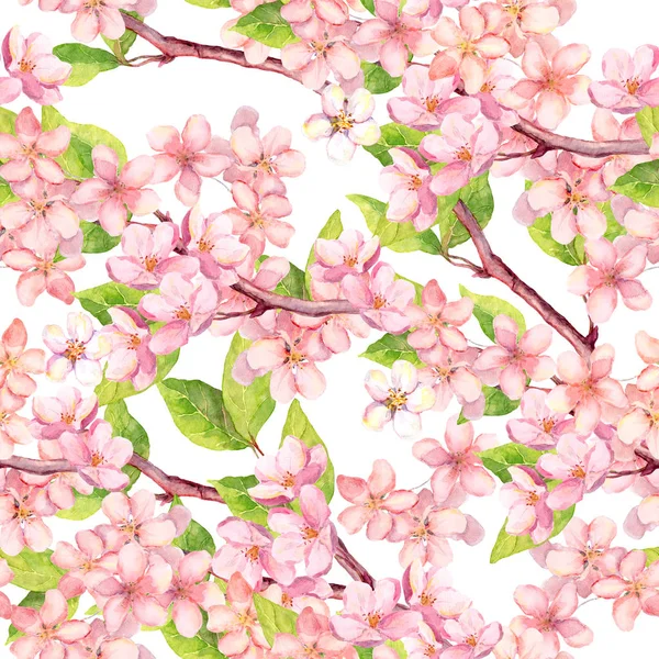 Cherry blossom - äpple, sakura blommor. Sömlös blommönster. Akvarell — Stockfoto