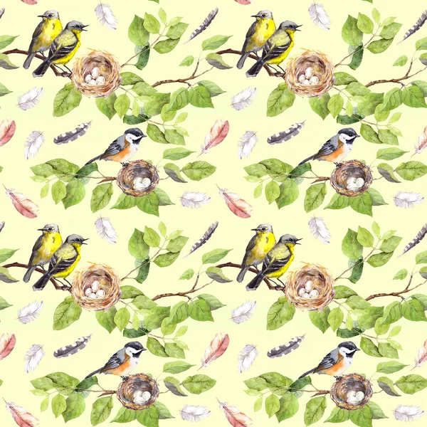 Ptáci, hnízda na větvi. Bezproblémové opakující se vzorek. Akvarel — Stock fotografie