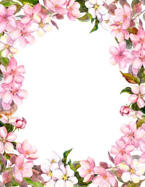 Pembe çiçekler - elma, kiraz çiçeği. Çiçek sınır eski püskü arka plan için. Suluboya