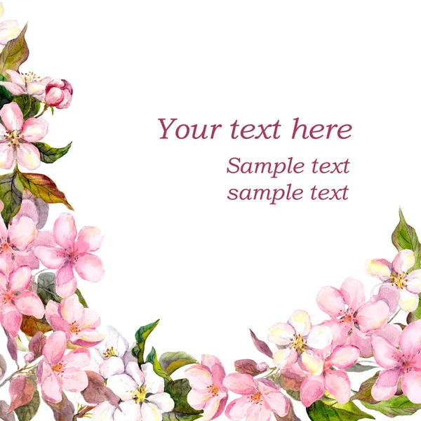 Cartão de saudação floral. Branco, flores sakura cereja rosa. Aquarela — Fotografia de Stock