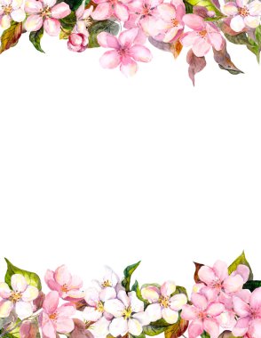 Pembe çiçekler - elma, kiraz çiçeği. Kartpostal için çerçeve çiçek. Suluboya