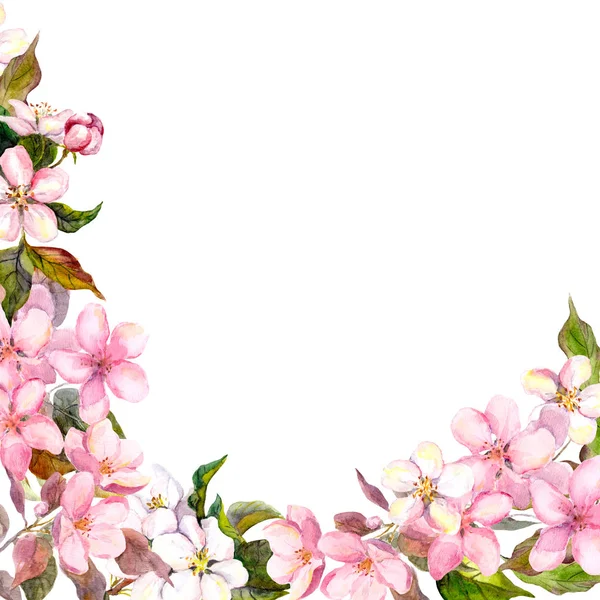 Blommig gratulationskort. Vit, rosa cherry sakura blommor. Akvarell — Stockfoto