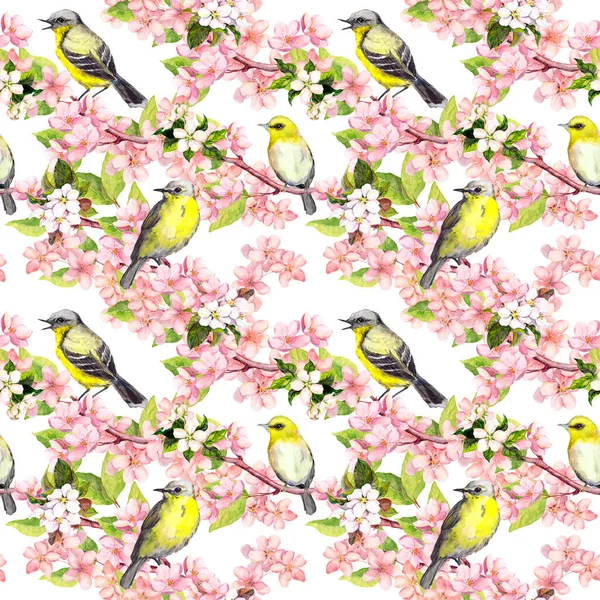 Цветение сакуры - яблоко, цветы сакуры, птицы. Цветочный бесшовный рисунок. Акварель — стоковое фото