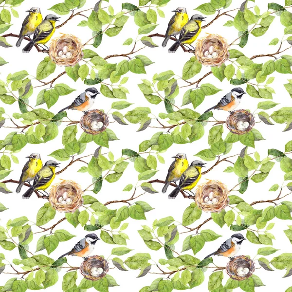 Ptáci, hnízda na větvi. Bezproblémové opakující se vzorek. Akvarel — Stock fotografie