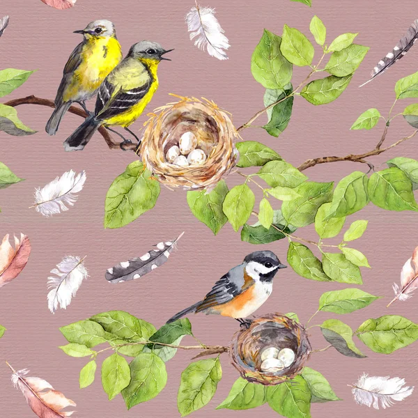 Vögel nisten auf Ästen. nahtlos wiederholendes Muster. Aquarell — Stockfoto