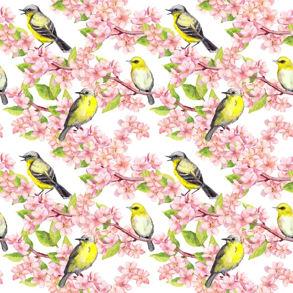 Flor de cerezo - manzana, flores de sakura, pájaros lindos. Fondo floral sin costuras. Acuarela —  Fotos de Stock