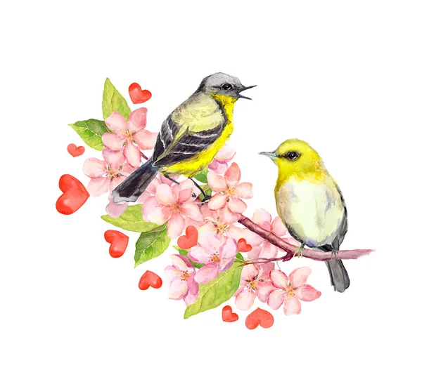 Πουλιά σε άνθος κλαδί με λουλούδια. Ακουαρέλα — Φωτογραφία Αρχείου