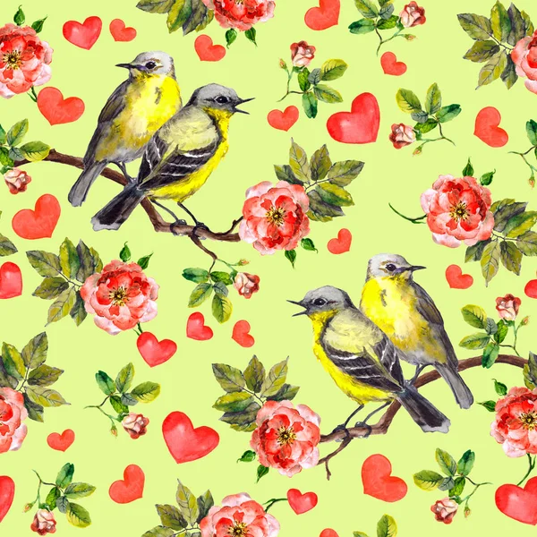 Pájaros de primavera, rosas rojas románticas flores. Patrón sin costuras. Acuarela —  Fotos de Stock