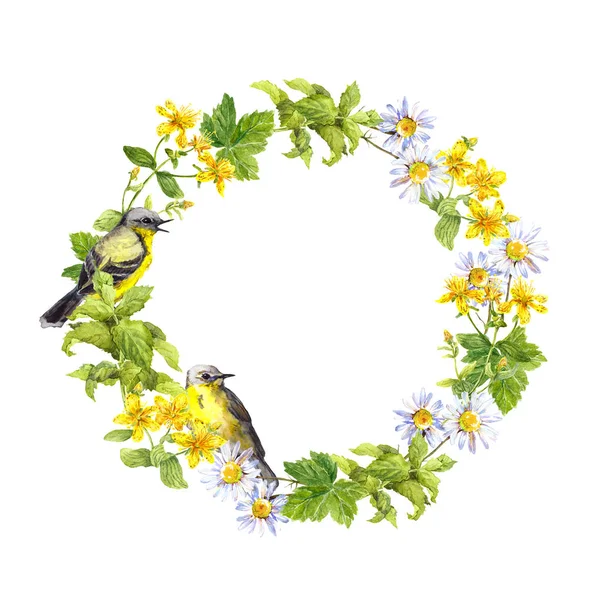 Kuş, çiçek ve yabani otlar. Çiçek çelenk. Suluboya — Stok fotoğraf