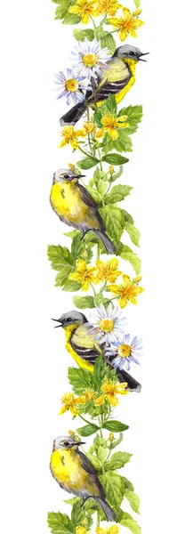 Pássaros em ervas selvagens, flores. Aquarela. Quadro de fronteira repetitivo — Fotografia de Stock